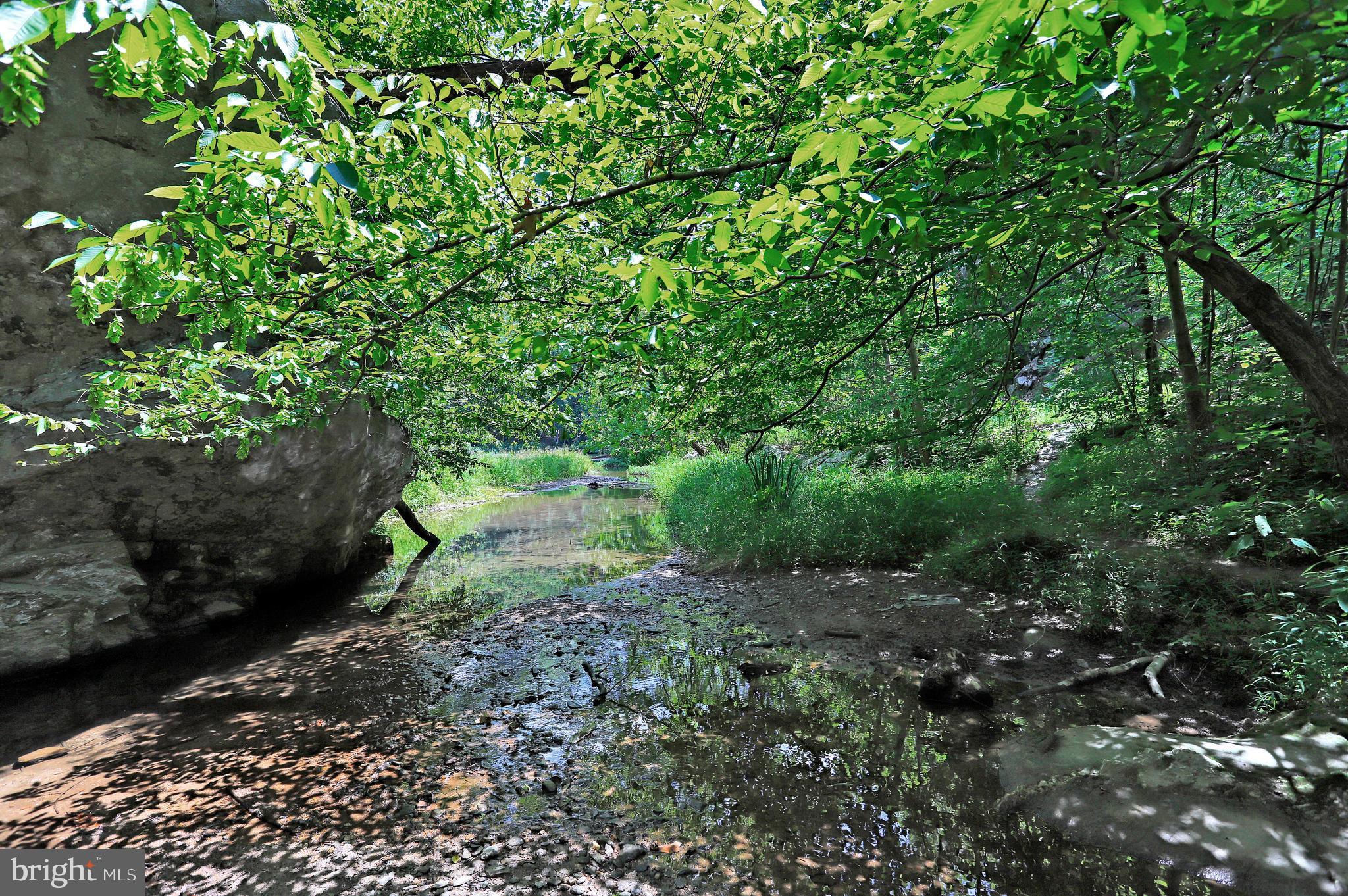 LAKE LINGANORE TOWN CENTER - Residential