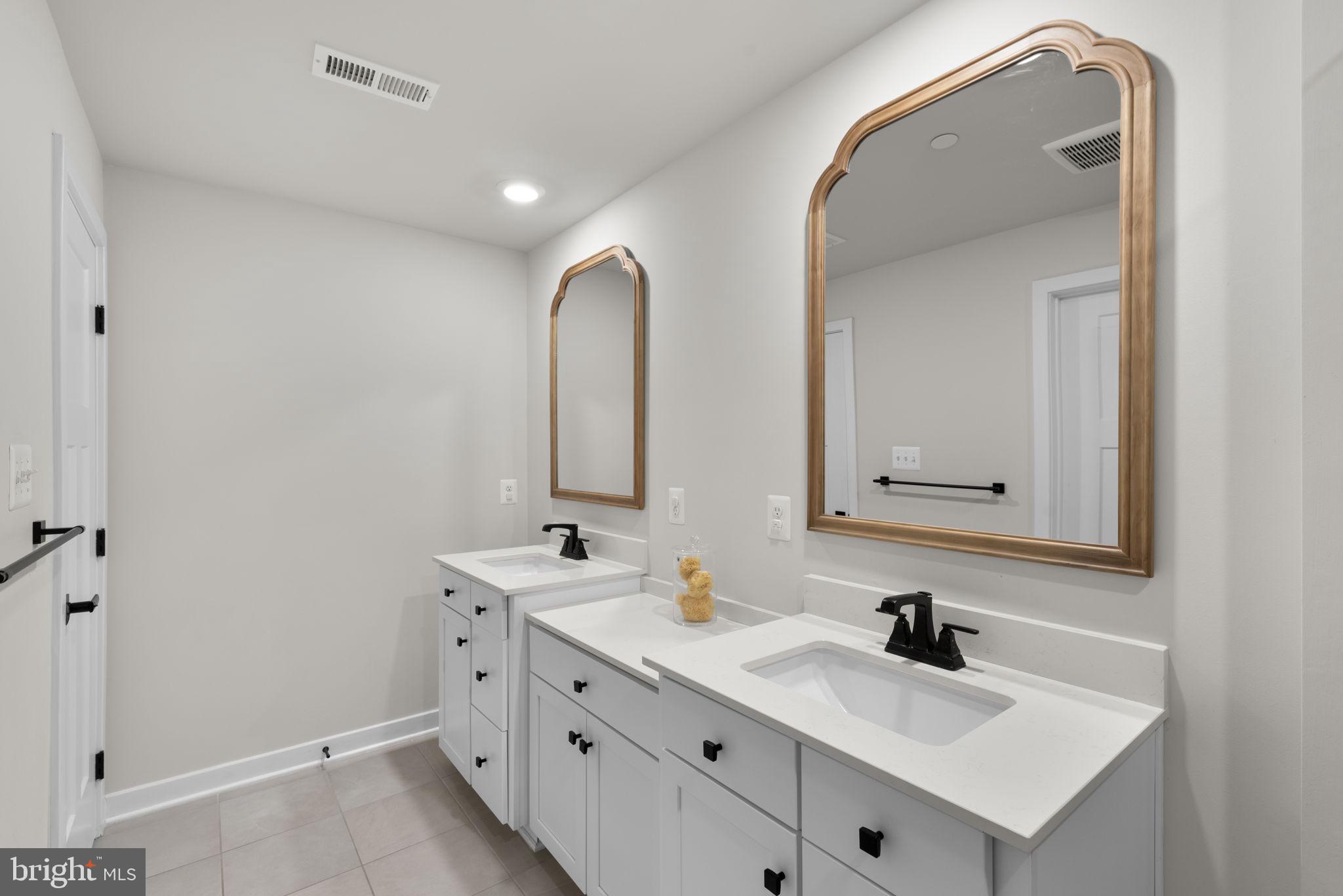 LAKE LINGANORE TOWN CENTER - Residential