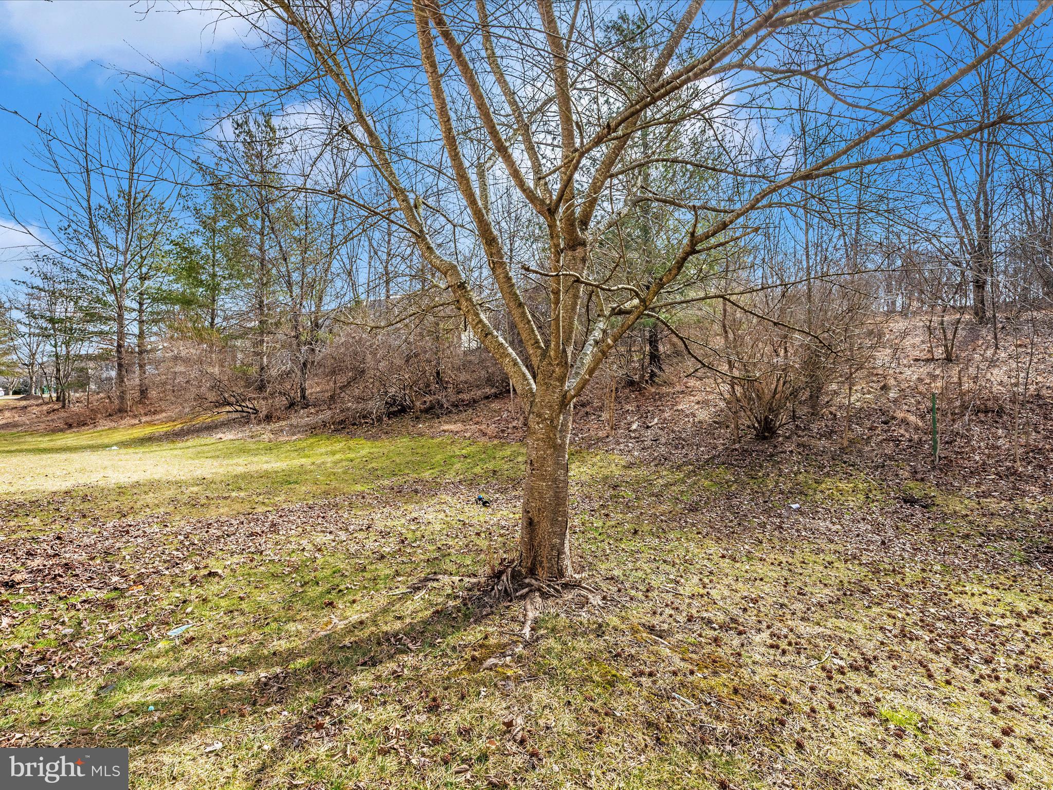 WAVERLY WOODS - Residential