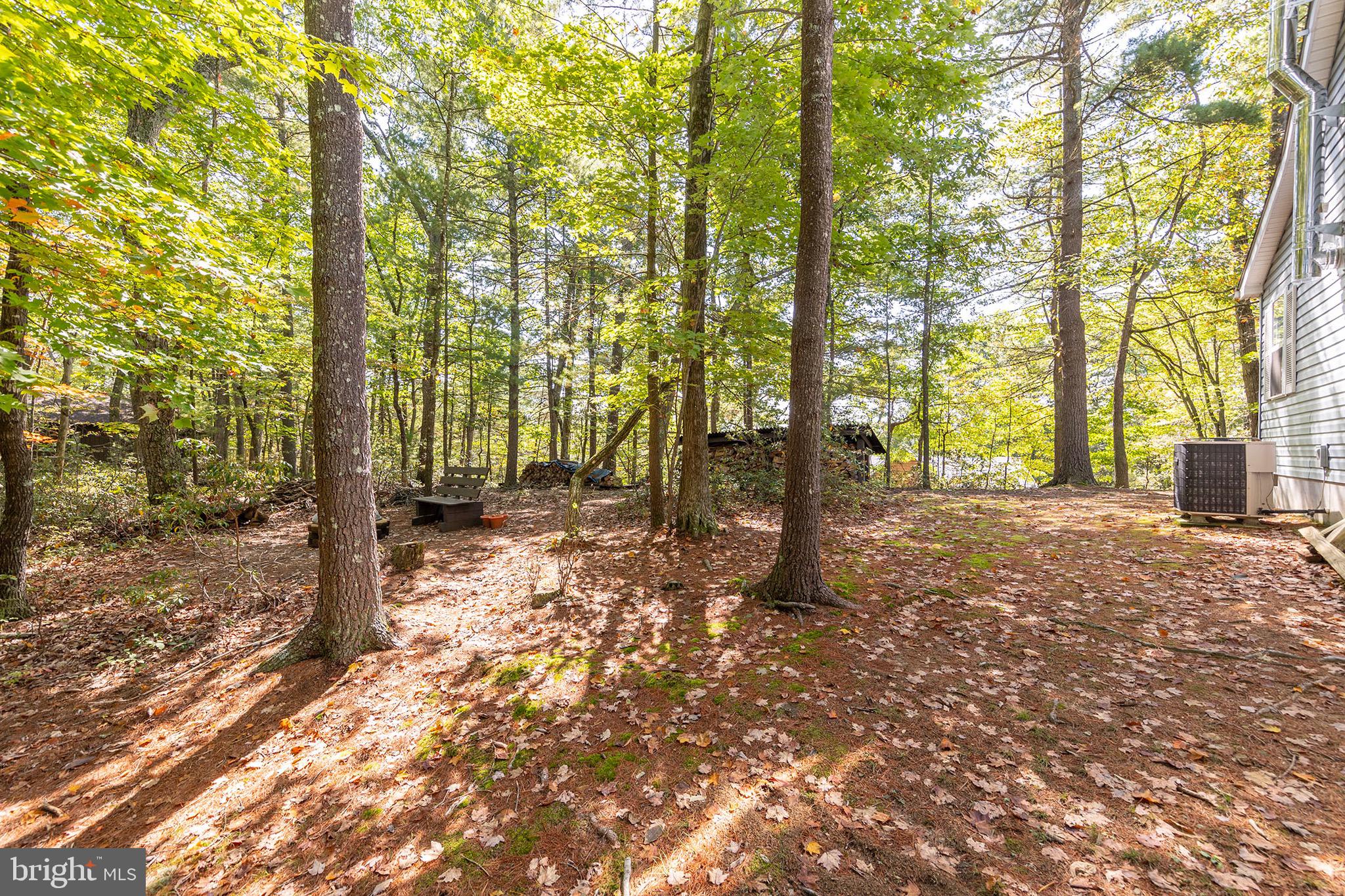 BRYCE  MOUNTAIN  RESORT - Residential