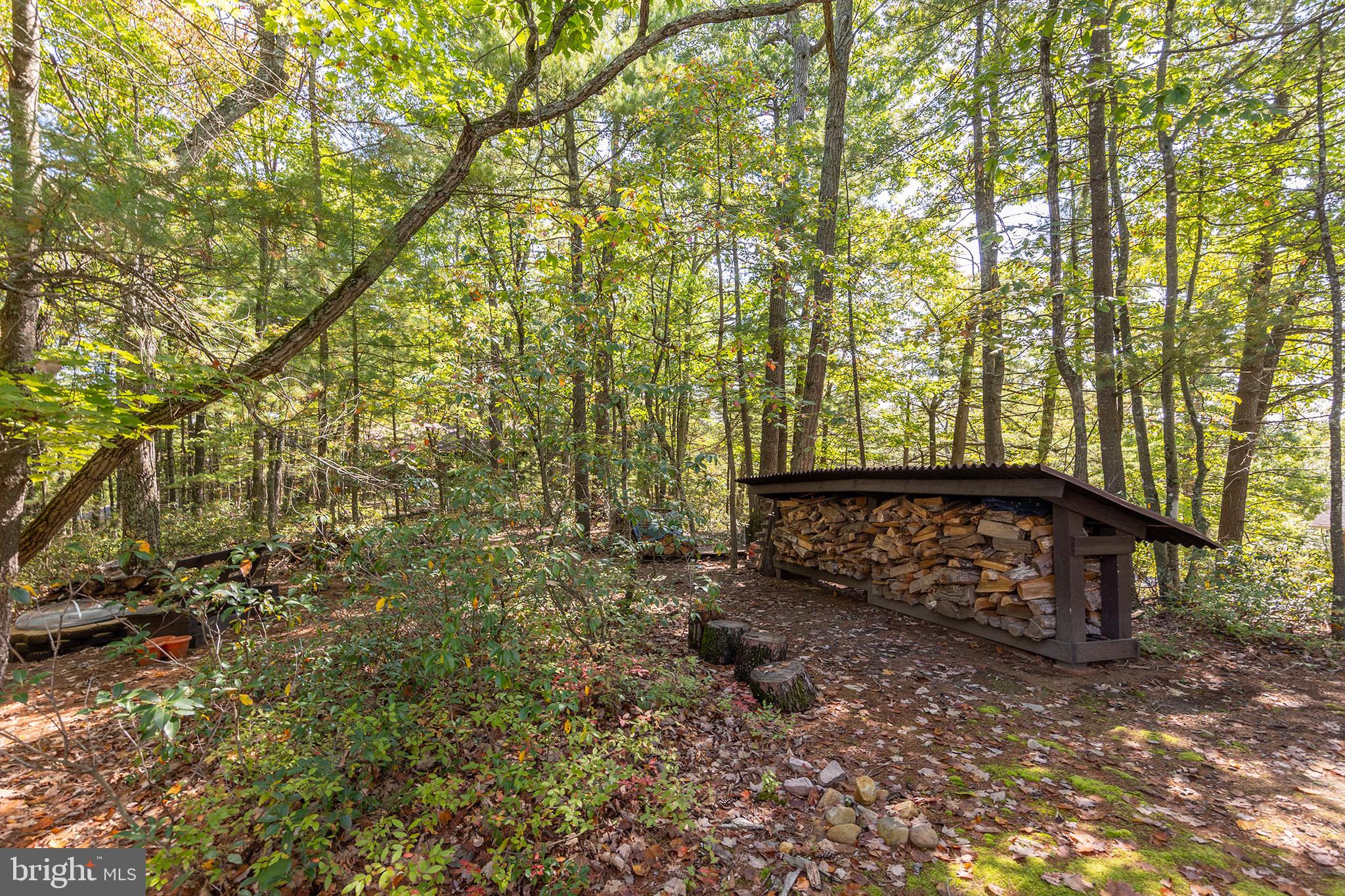 BRYCE  MOUNTAIN  RESORT - Residential