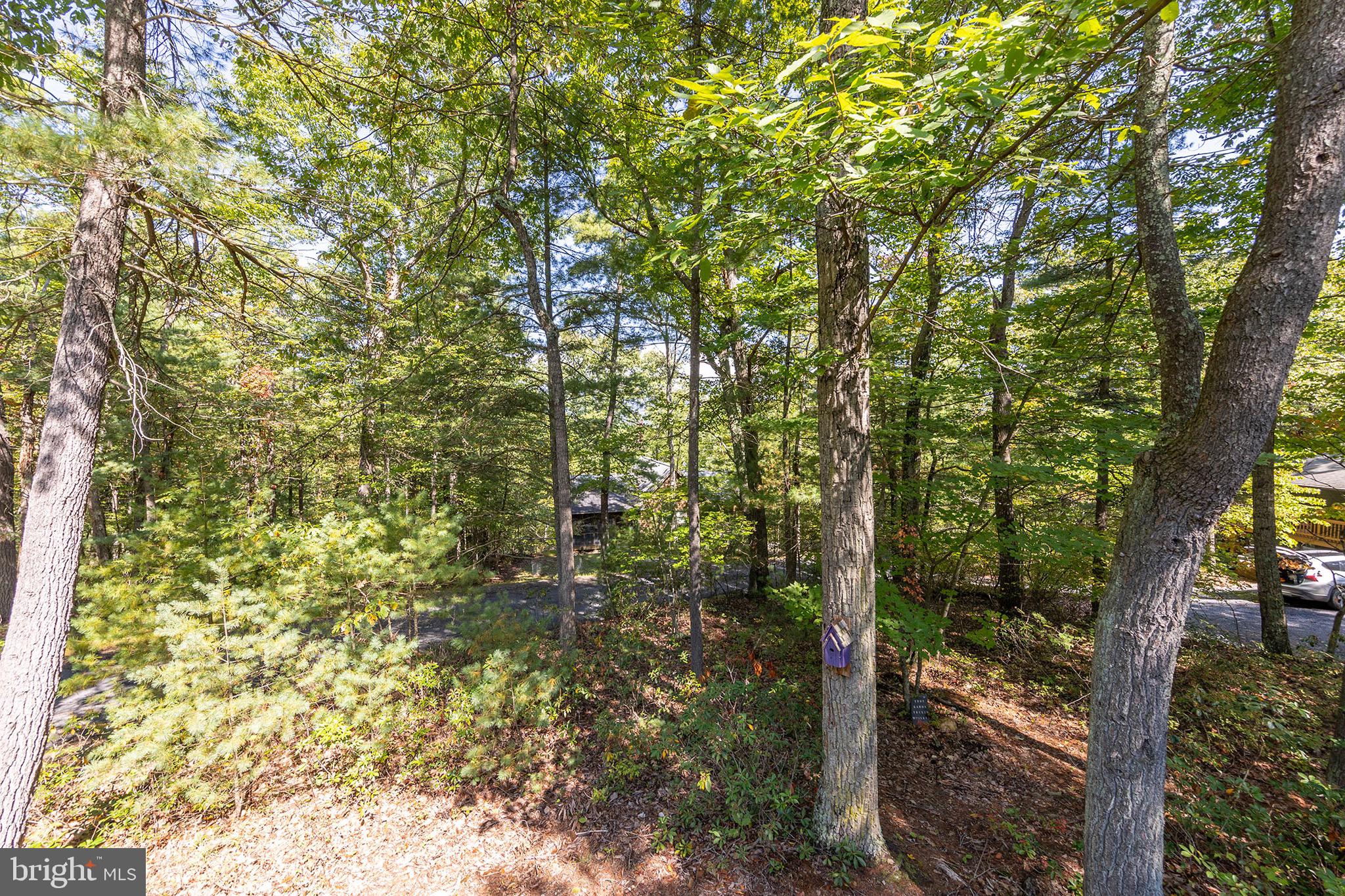 BRYCE  MOUNTAIN  RESORT - Residential