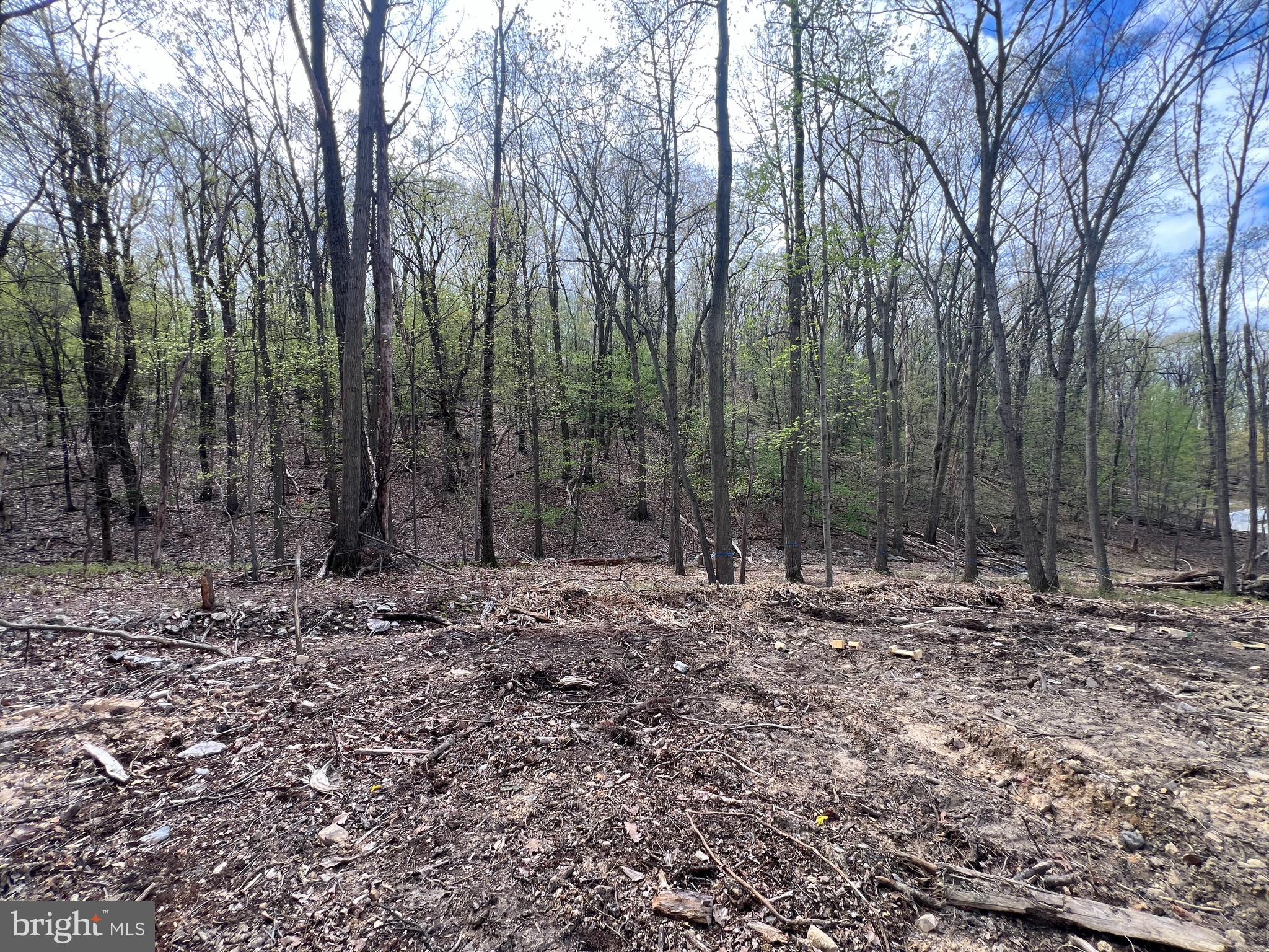 WHITE ROCK ACRES - Residential