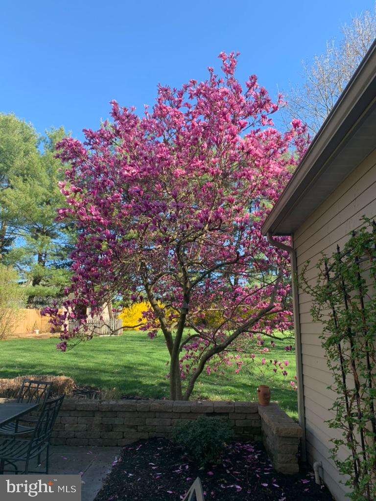 MIRROR LAKE FARMS - Residential