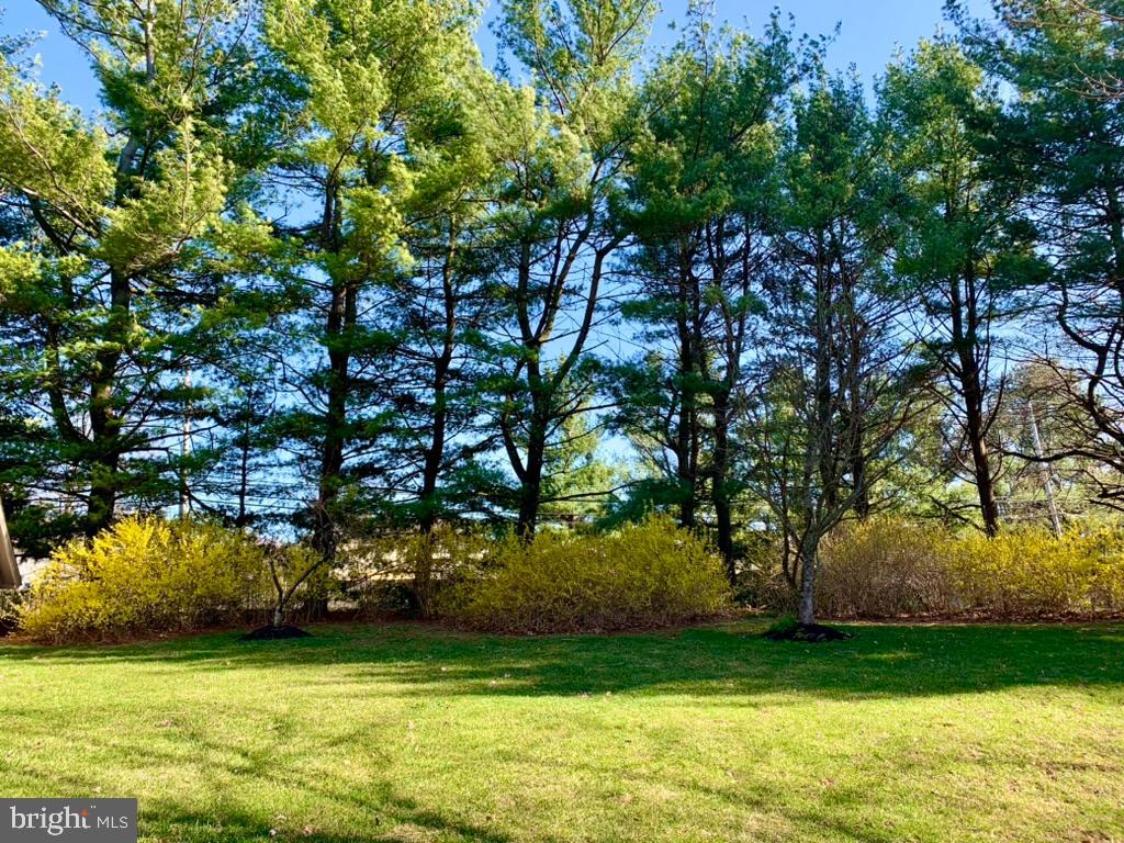 MIRROR LAKE FARMS - Residential