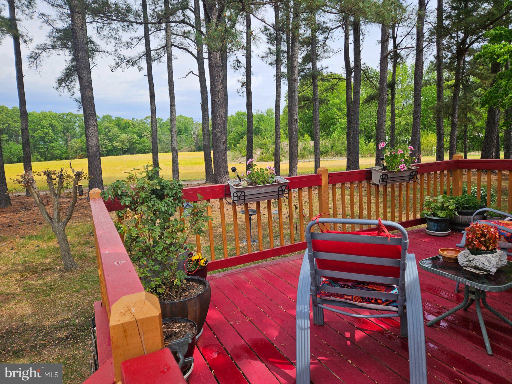 HYDE PARK - Residential