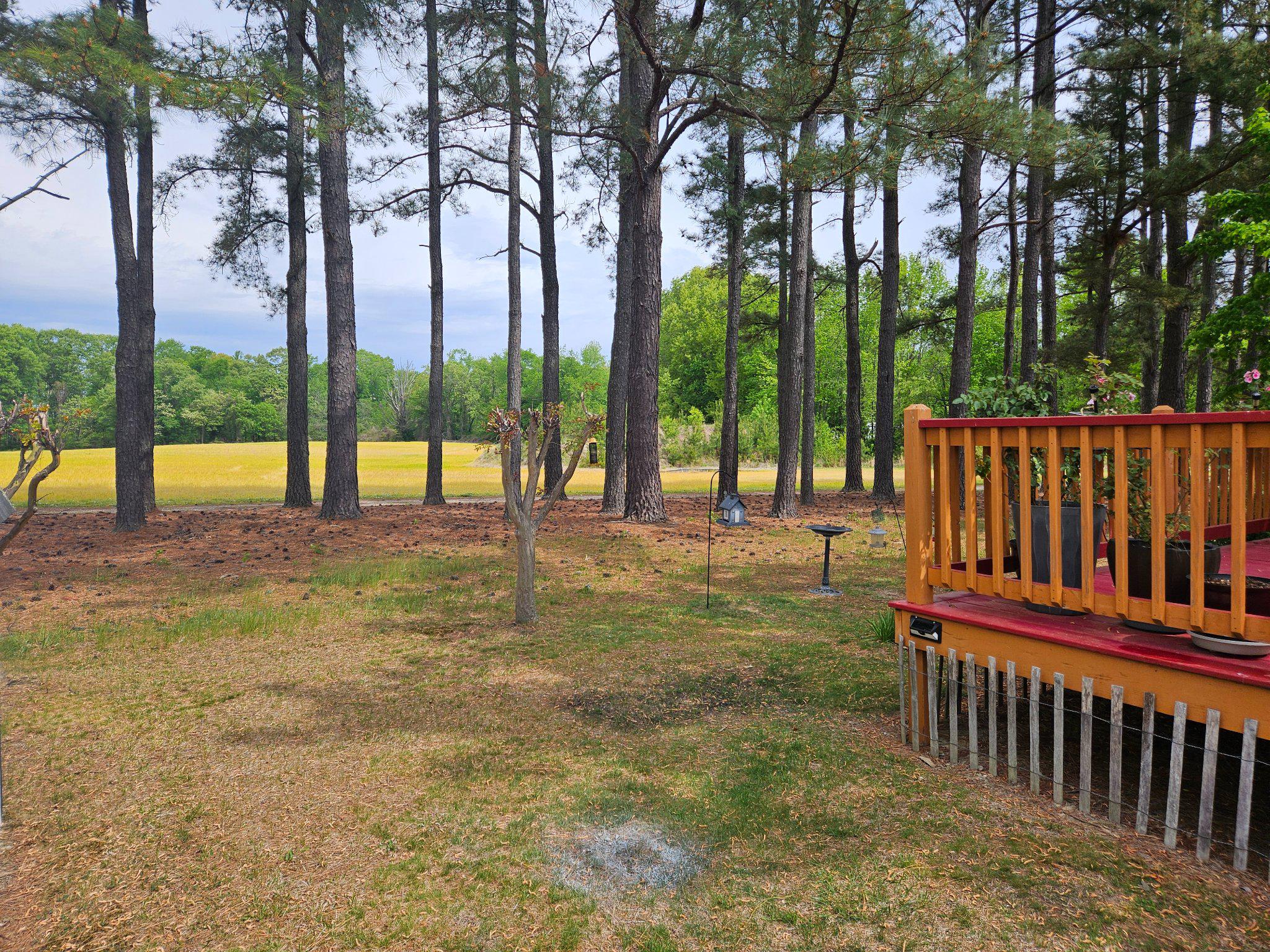 HYDE PARK - Residential