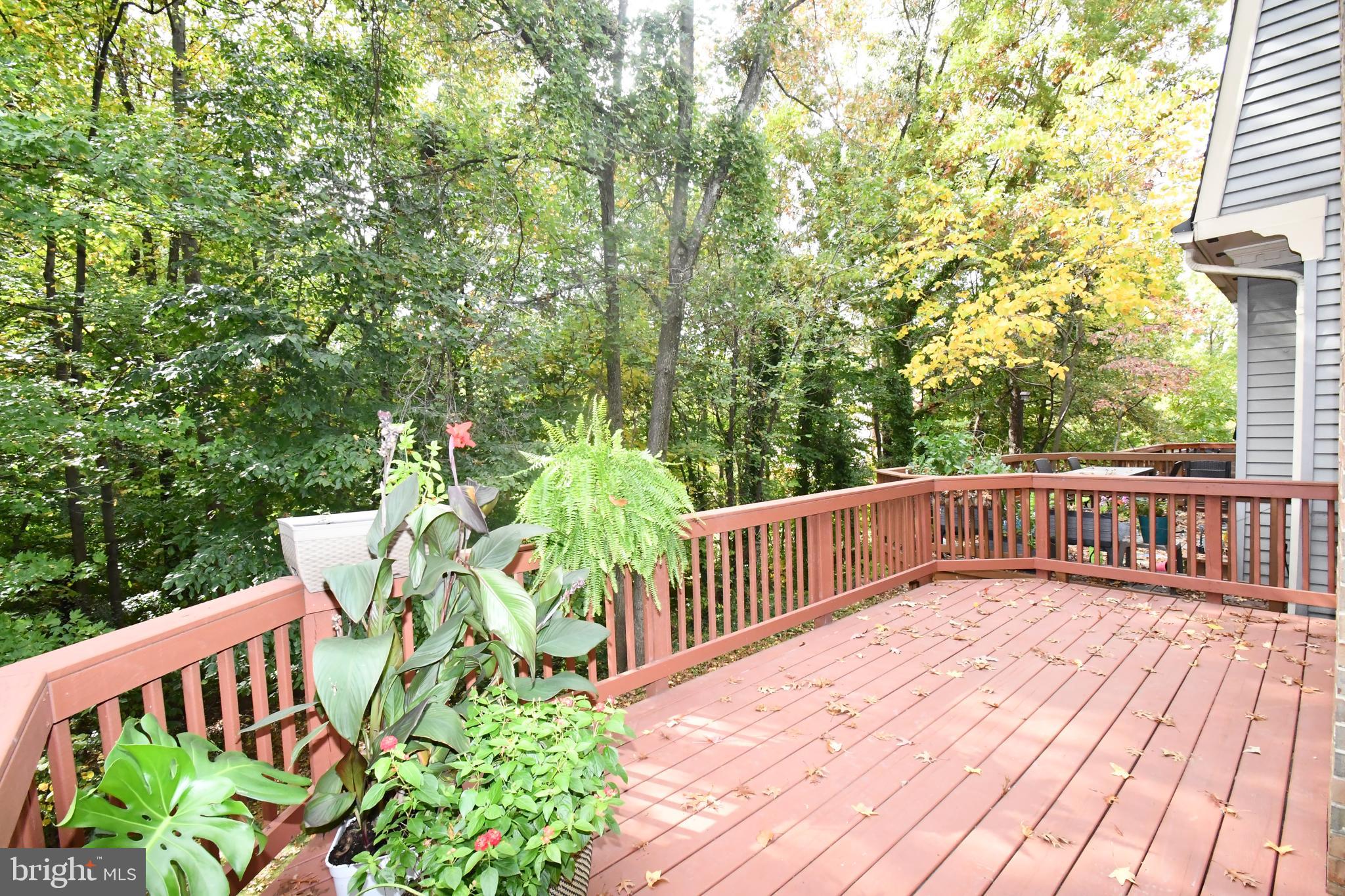 WILLOW CREEK - Residential Lease