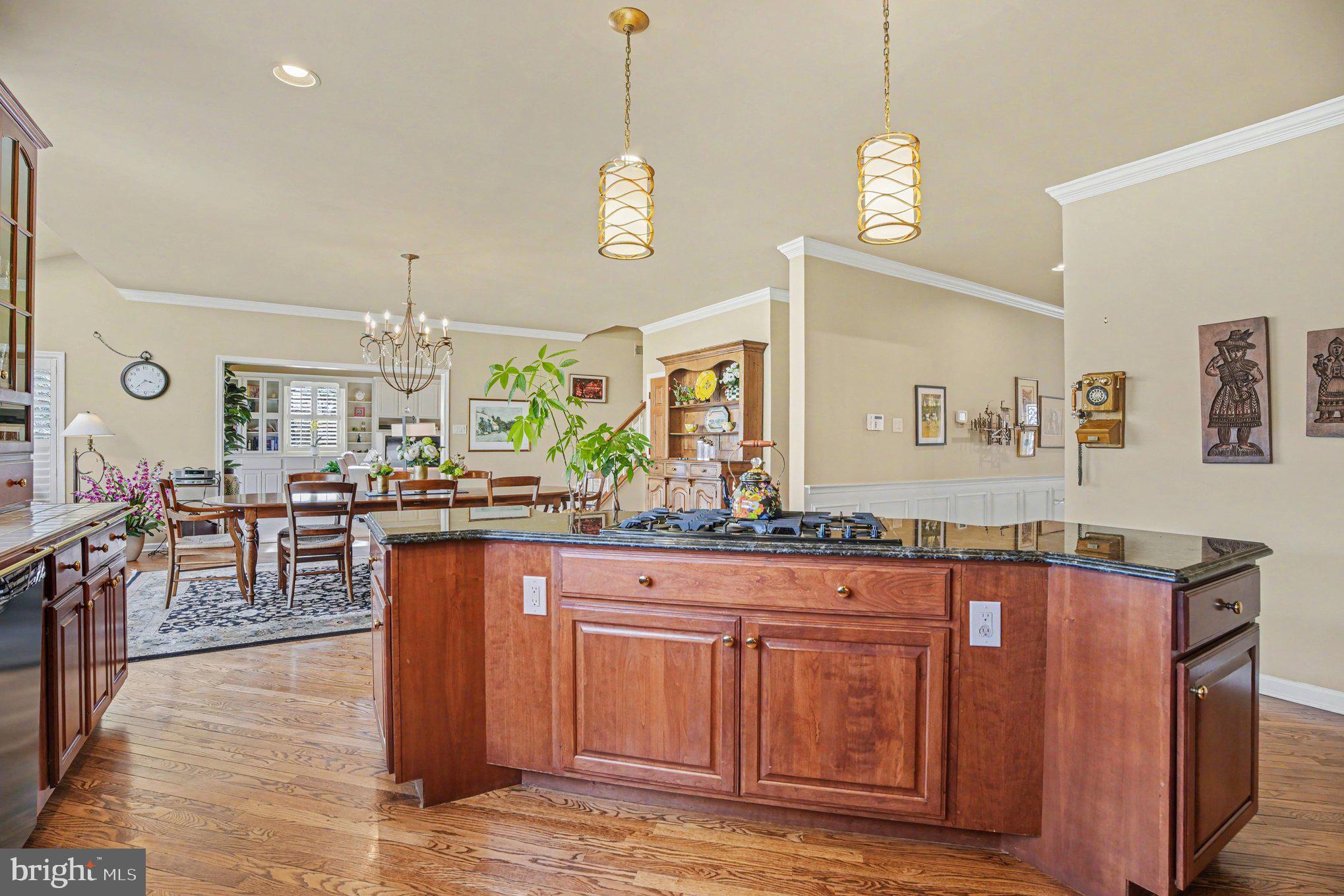 GWYNEDD VALLEY - Residential