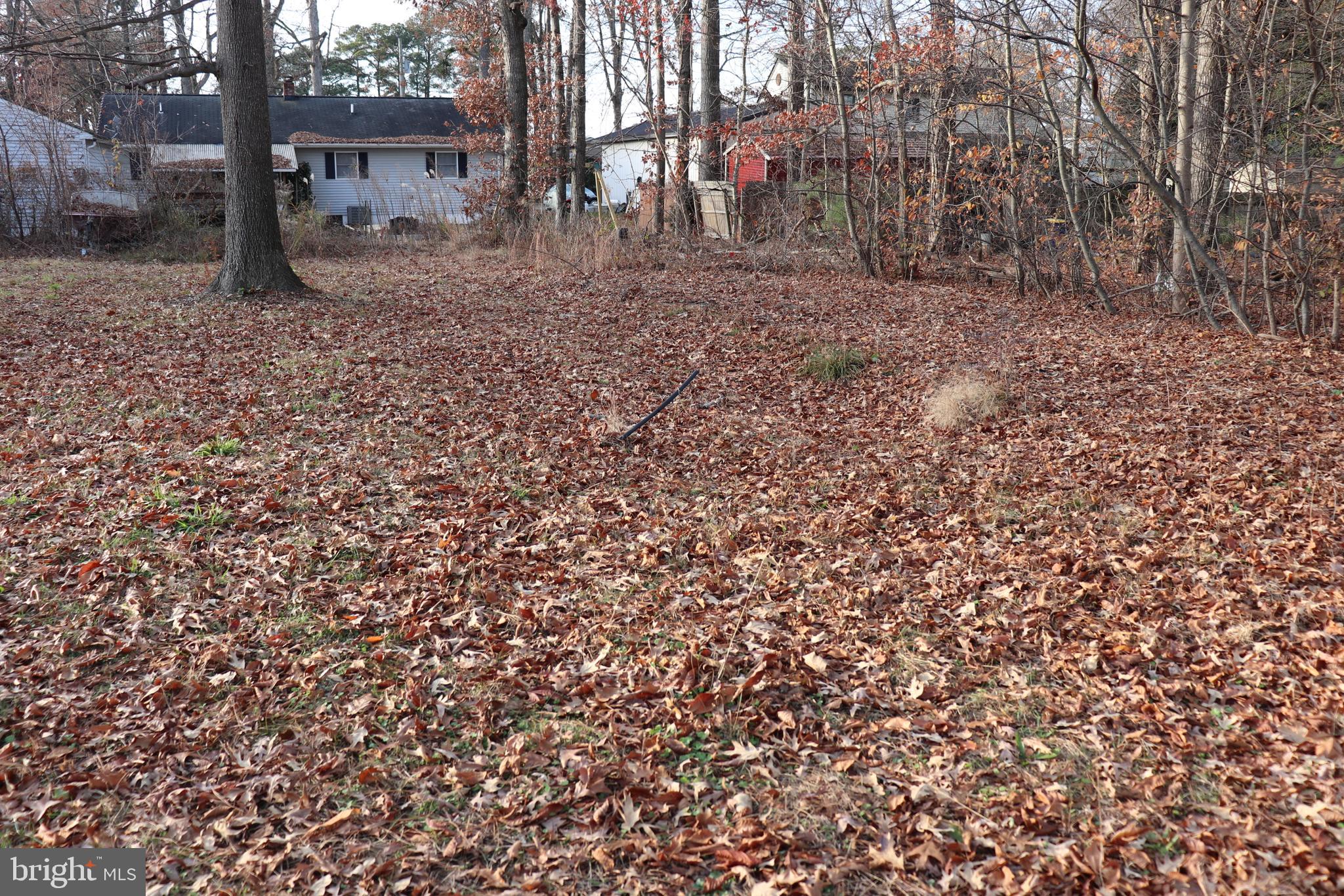 30859 WHITE OAK ROAD