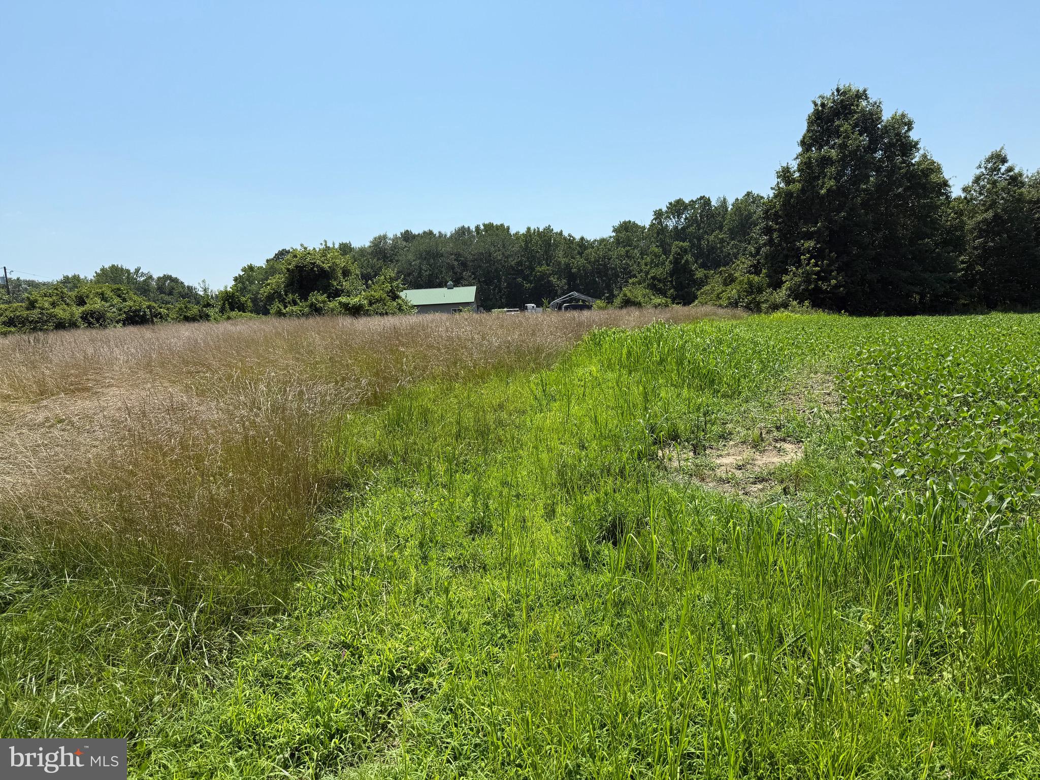 3355 CHURCH HILL ROAD