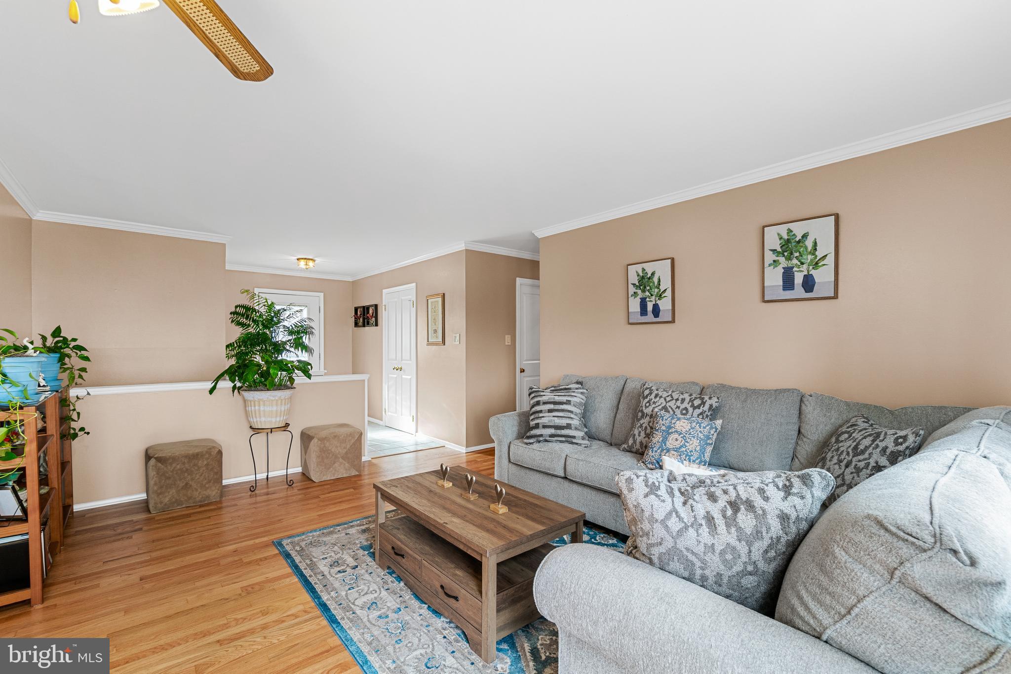 OLNEY ACRES - Residential