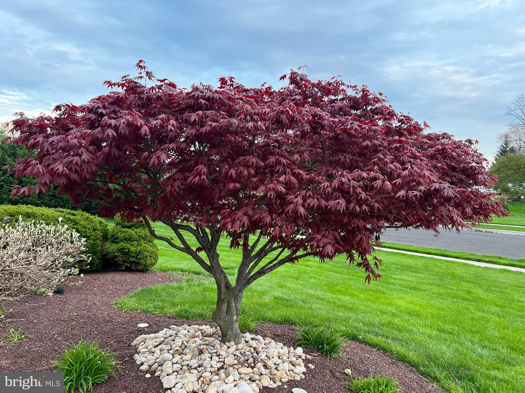 NORTHAMPTON CROSSG - Residential