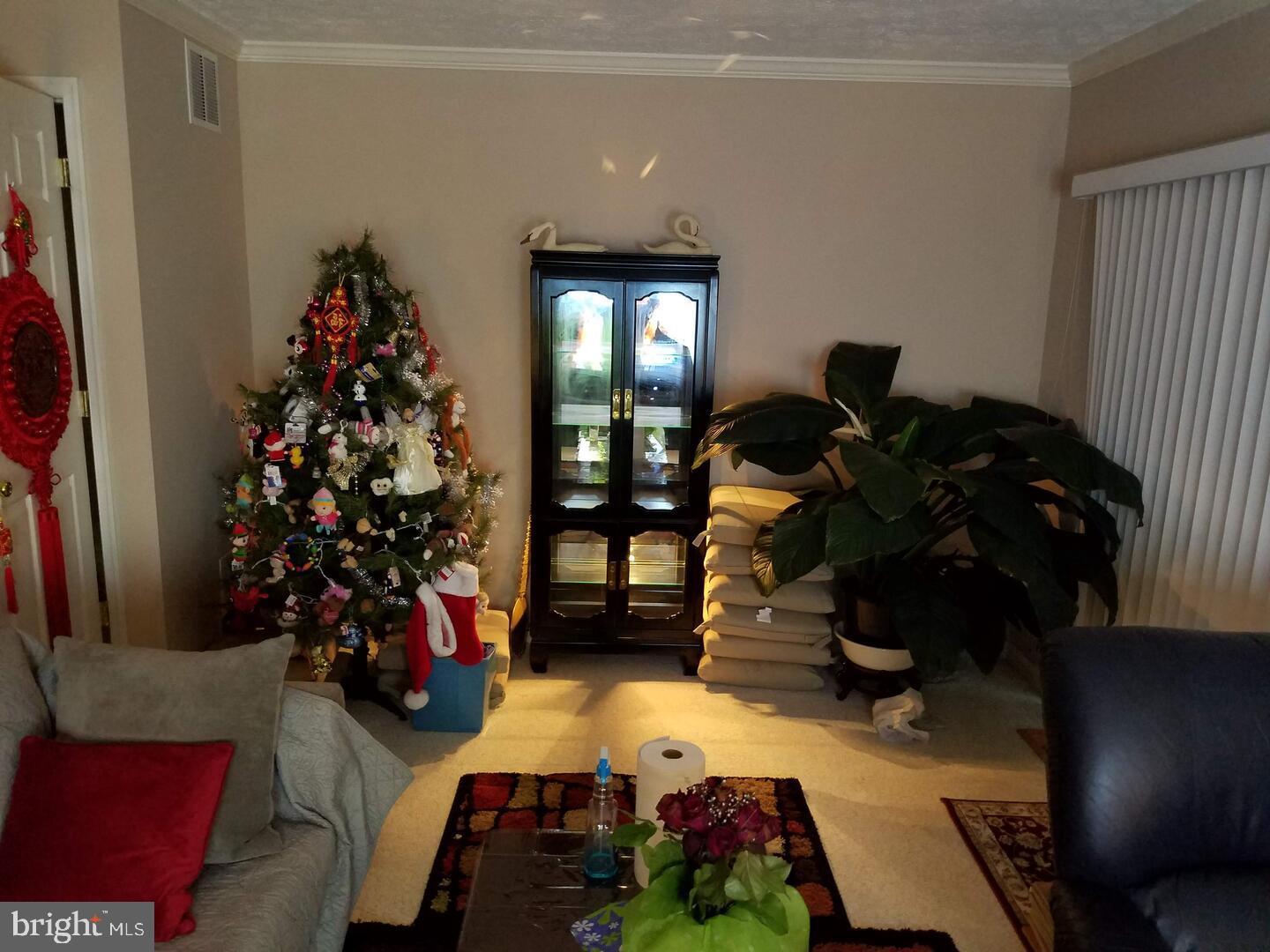 SNOWDEN RIDGE - Residential