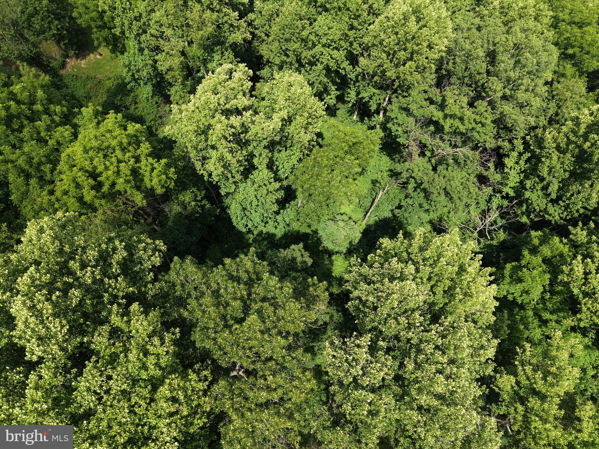 TRACT 3: .52+/- ACRES OAK RIDGE TRAIL AT 10
