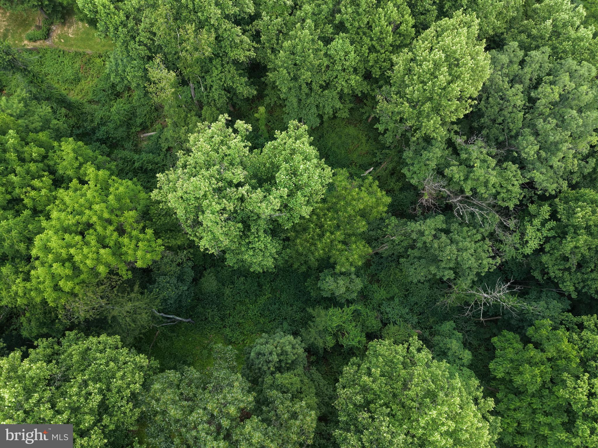 TRACT 3: .52+/- ACRES OAK RIDGE TRAIL AT 10