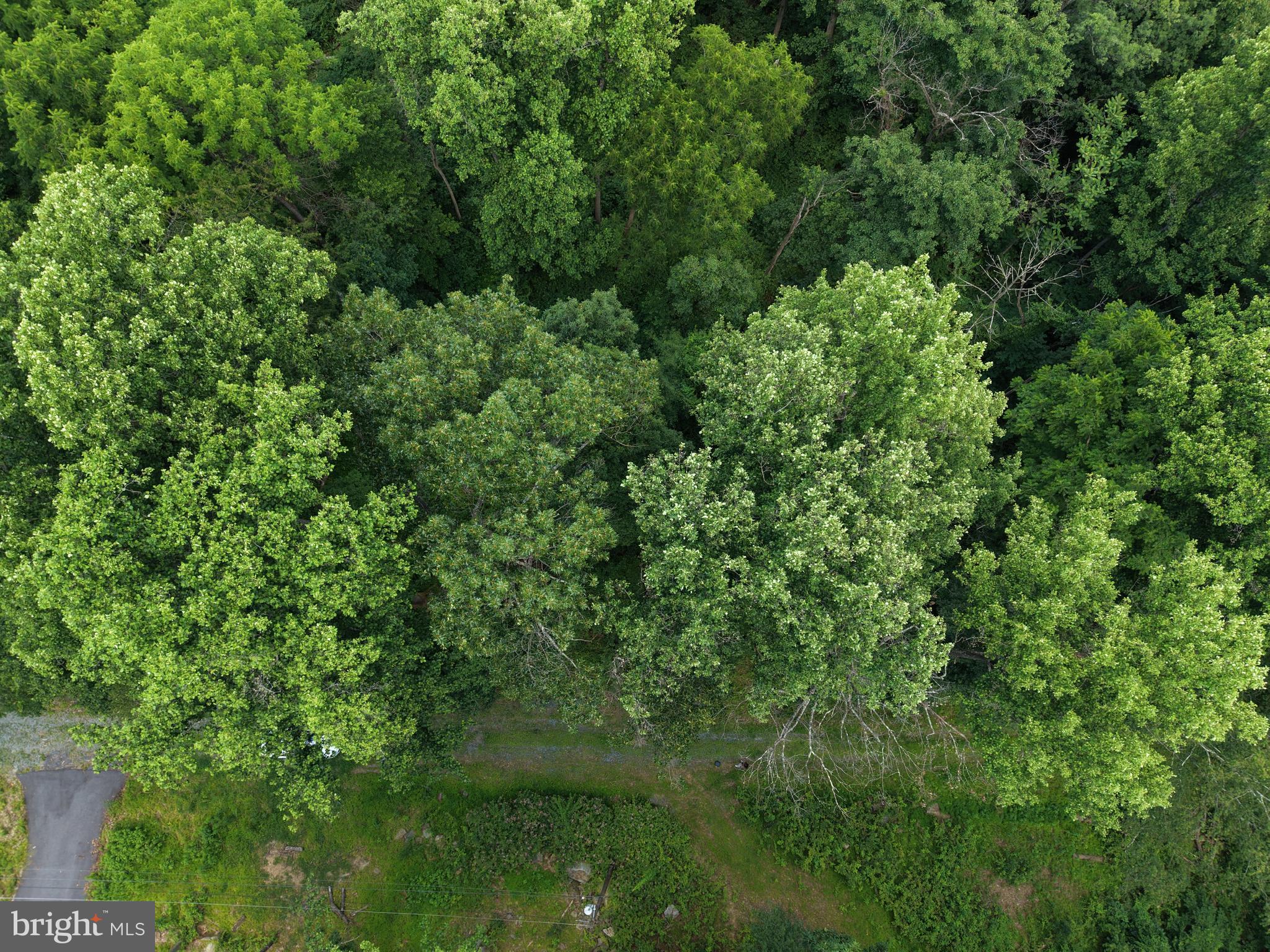 TRACT 3: .52+/- ACRES OAK RIDGE TRAIL AT 10