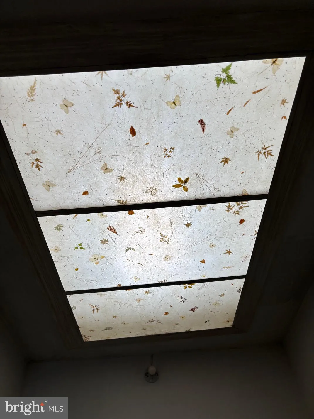 Mount Carmel, Pennsylvania 17851, United States, 8 Bedrooms Bedrooms, ,Residential,Active,206285