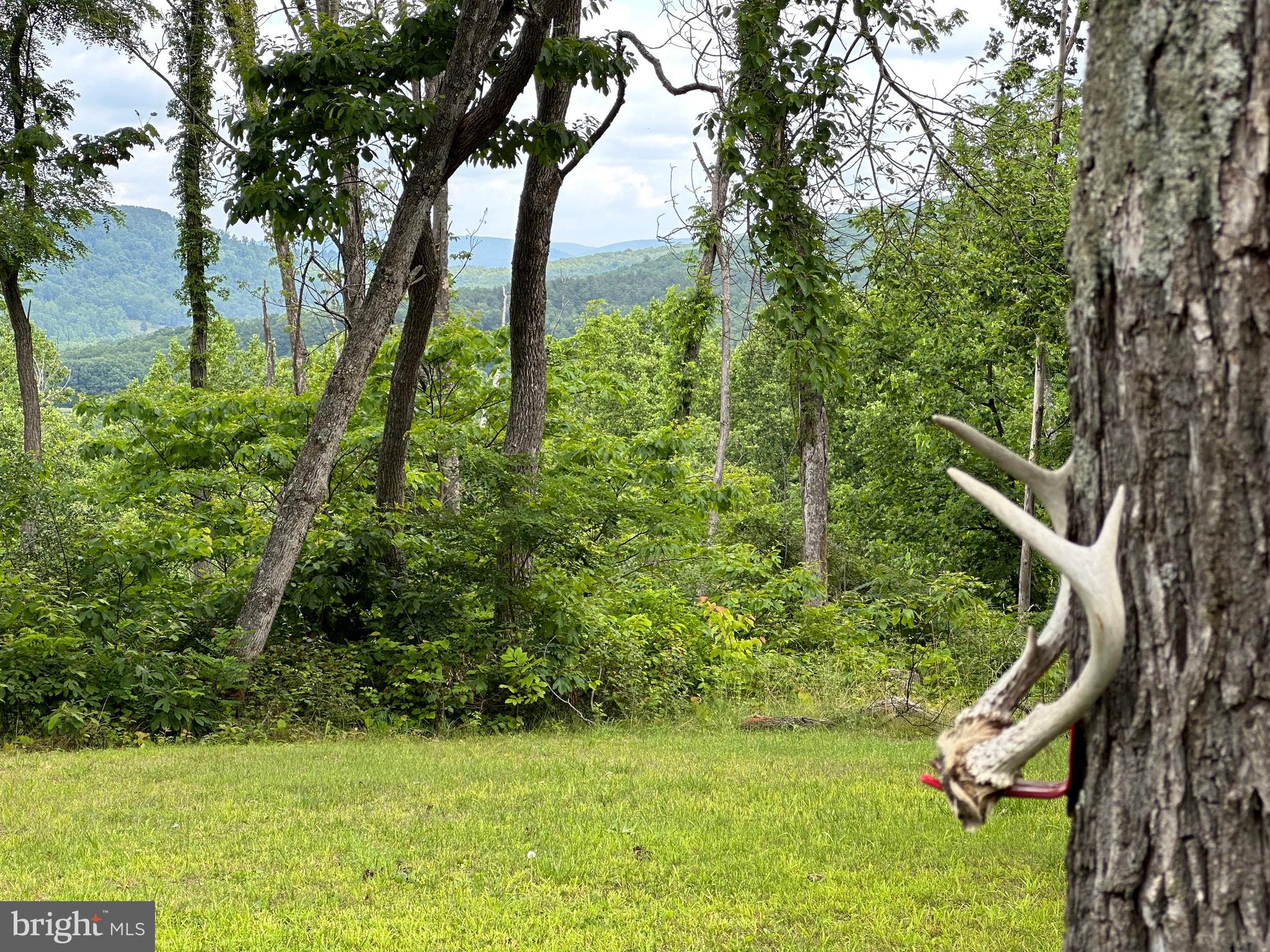 NONE AVAILABLE - Land