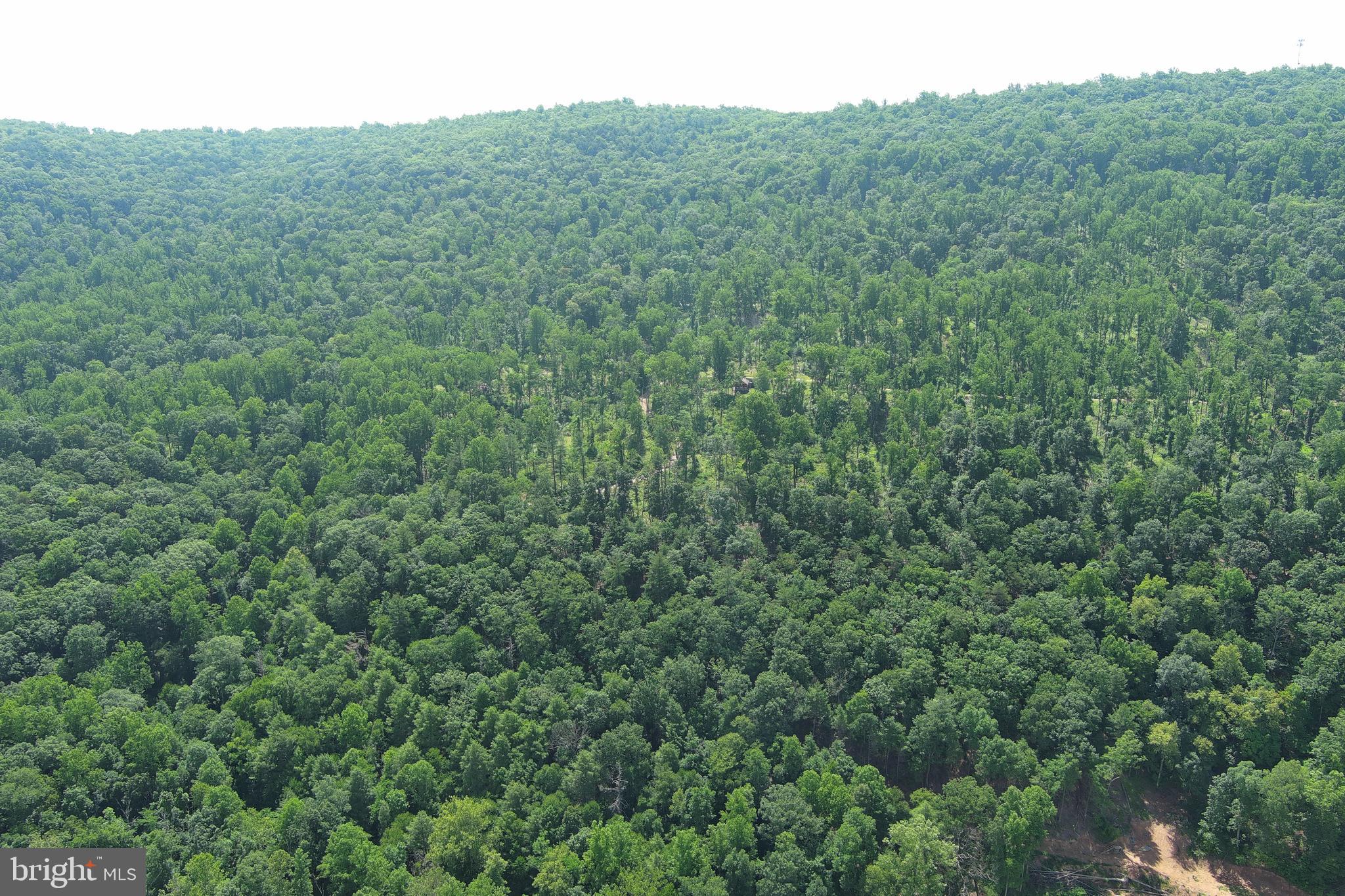 NONE AVAILABLE - Land