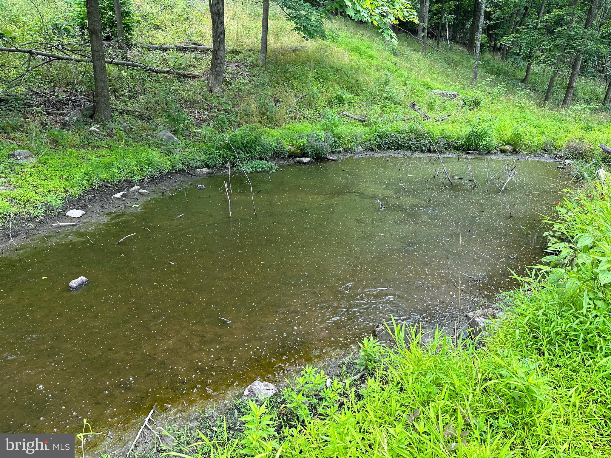 NONE AVAILABLE - Land