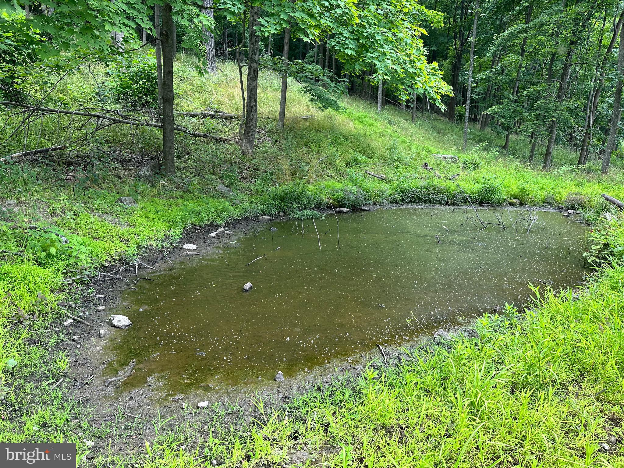 NONE AVAILABLE - Land