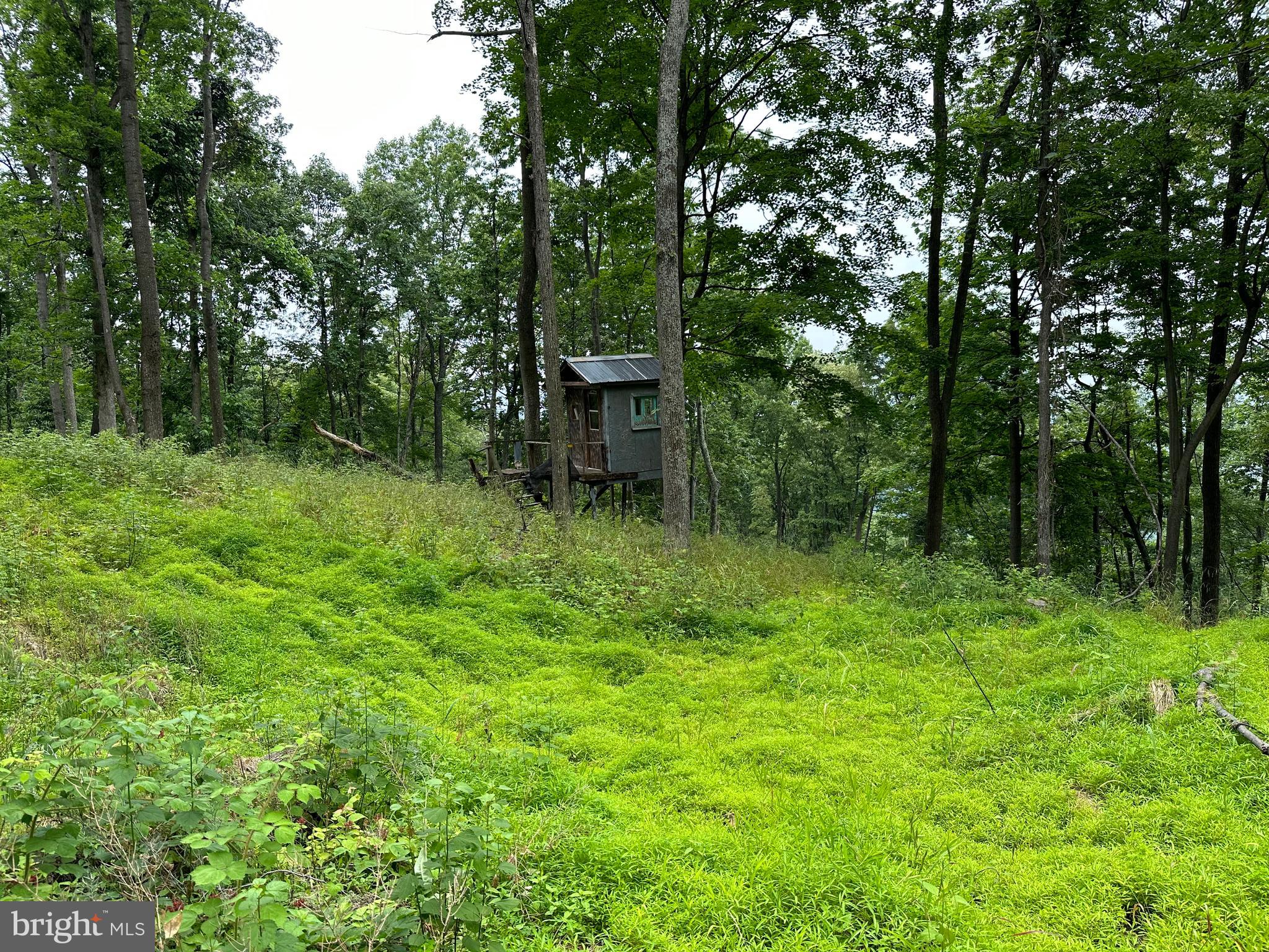 NONE AVAILABLE - Land