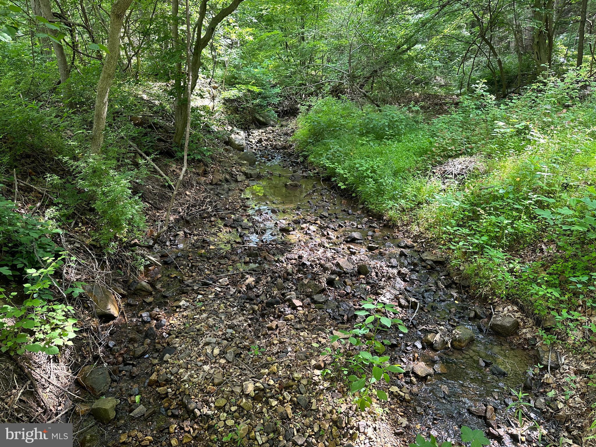 NONE AVAILABLE - Land