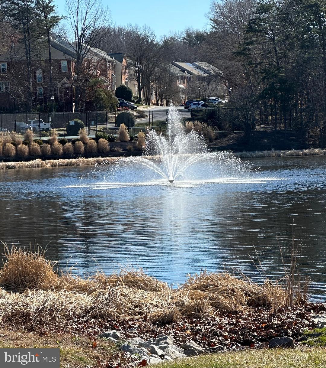 12460 MANCHESTER WAY