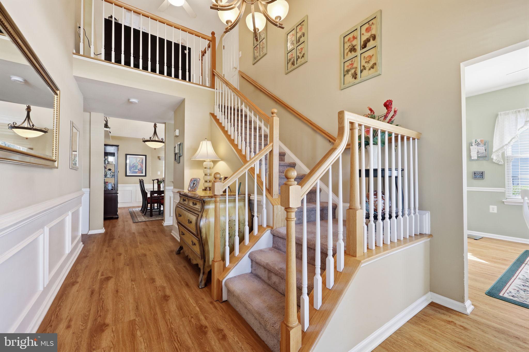 50 BLACK EYED SUSAN ROAD