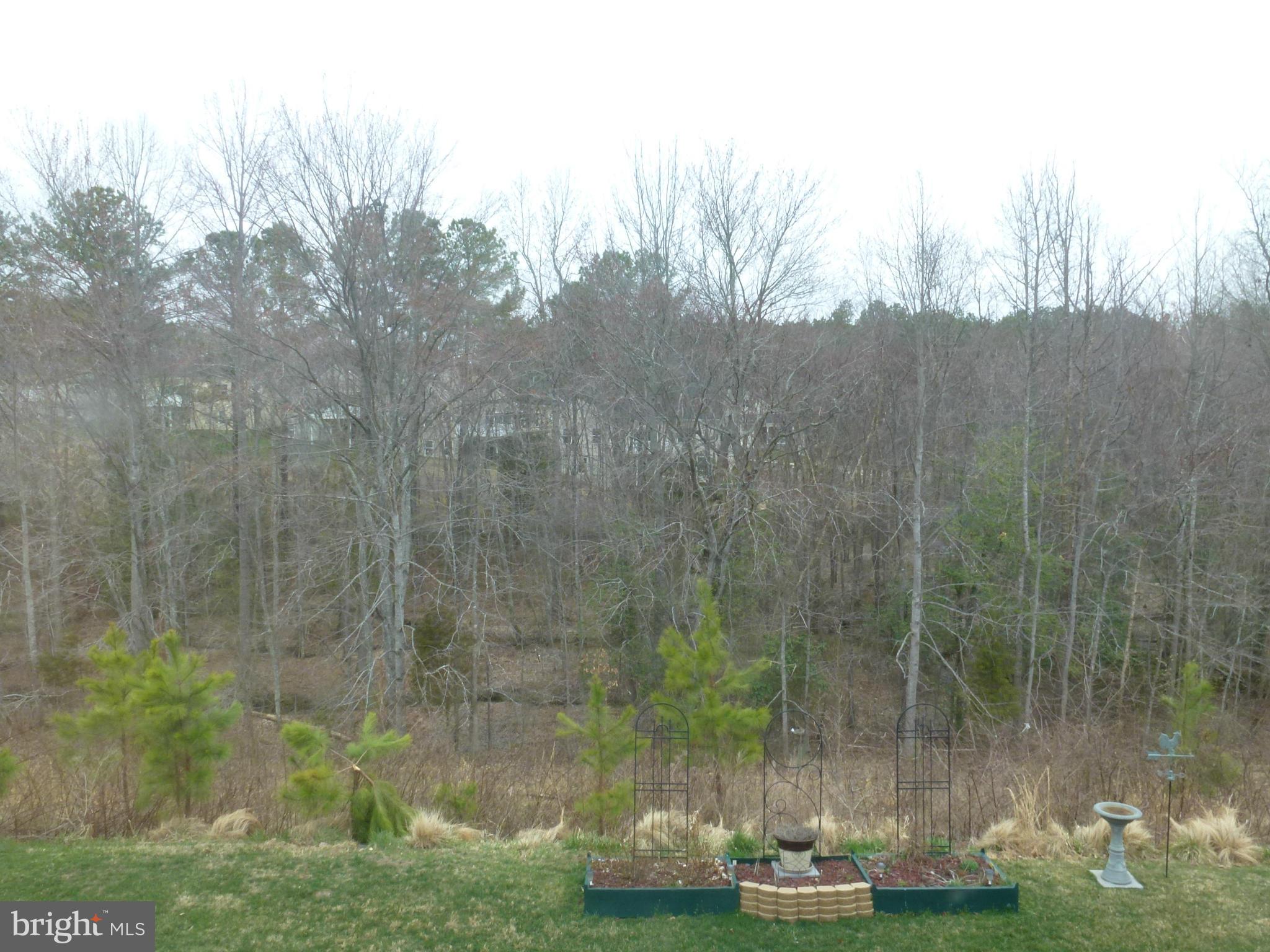 VIRGINIA HERITAGE AT LEE'S PARK - Residential