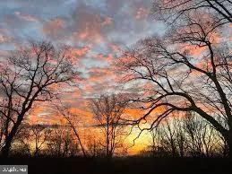 Haymarket, Virginia 20169, United States, ,Land,Active,247284