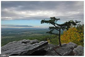 BULL RUN MOUNTAIN ESTATE - Land