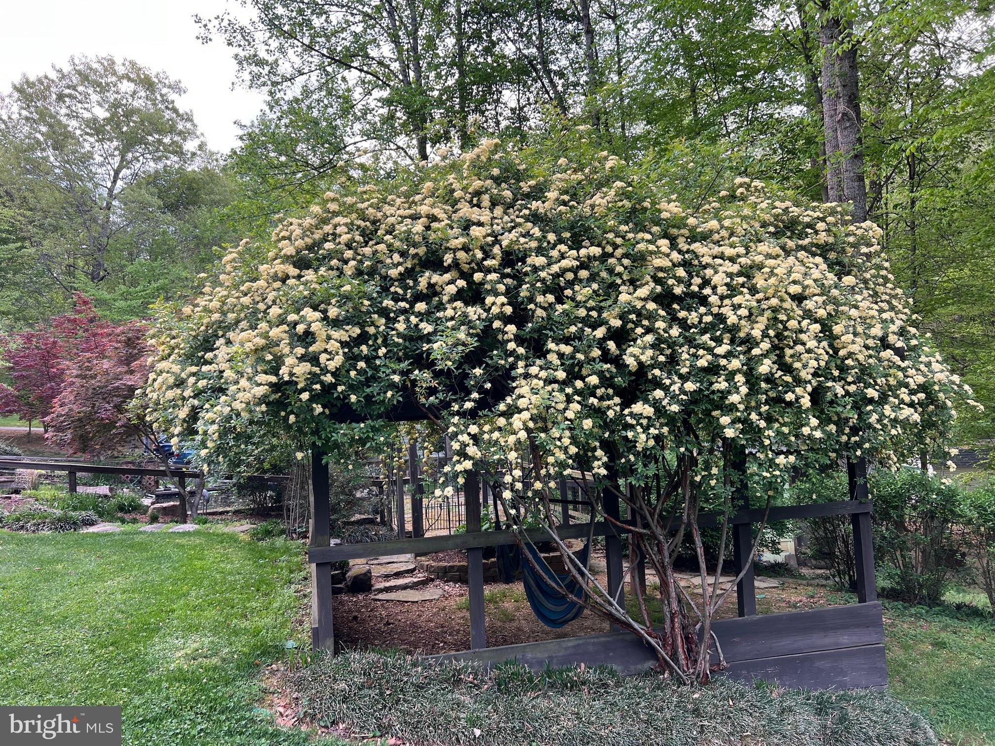 FOX DEN ESTATES - Residential