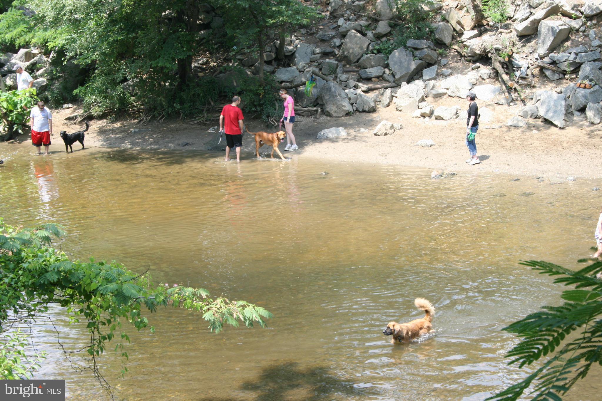 THE ARLINGTON - Residential