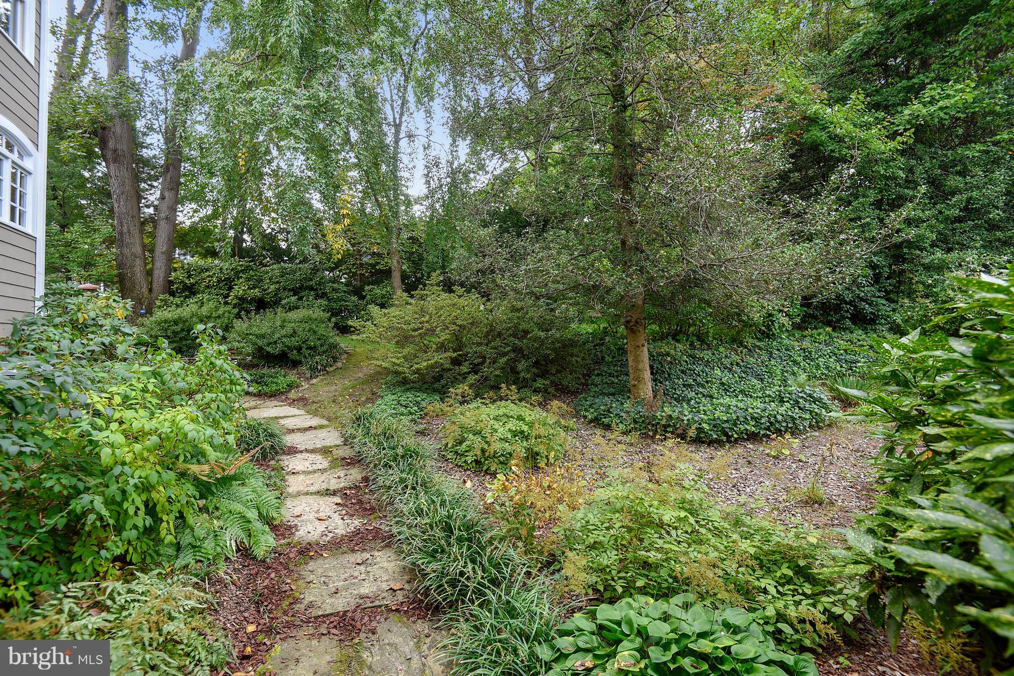 SPRINGHILL - Residential