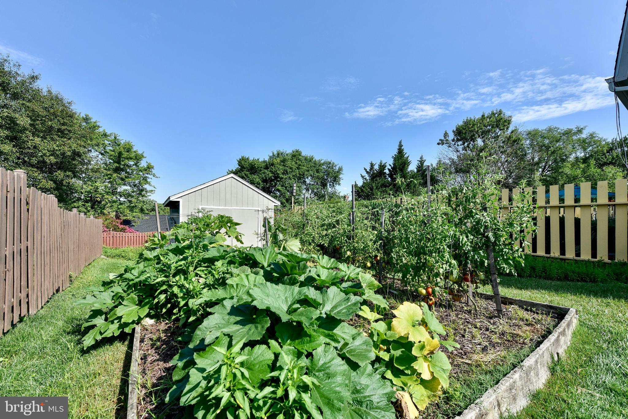 LEESBURG COUNTRY CLUB - Residential