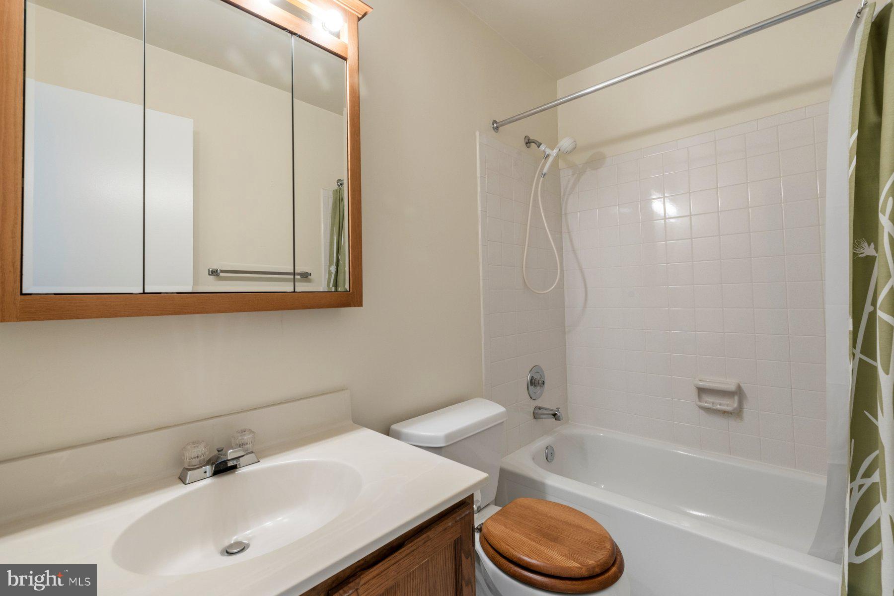 THE VILLAGE PARK - Residential