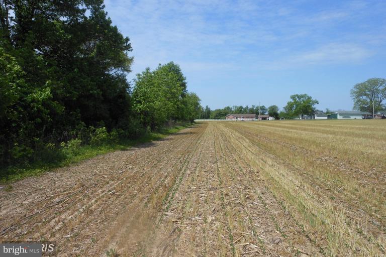 NONE AVAILABLE - Land