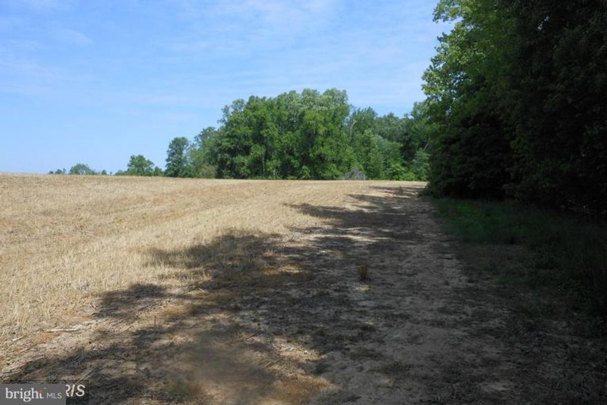 CLEARED LEVEL 15 ACRE FARMETTE WITH APPROVED RECORDED PERCS. PROPERTY IS CURRENTLY AGRICULTURALLY ASSESSED. BUYER RESPONSIBLE FOR ANY AG TRANSFER FEE. SELLER CONTINGENT ON CONTRACT AND SETTLEMENT OF HOC. PREFER COINCIDING SETTLEMENTS. SMALL TRAILER AND MATS ON PROPERTY DO NOT CONVEY