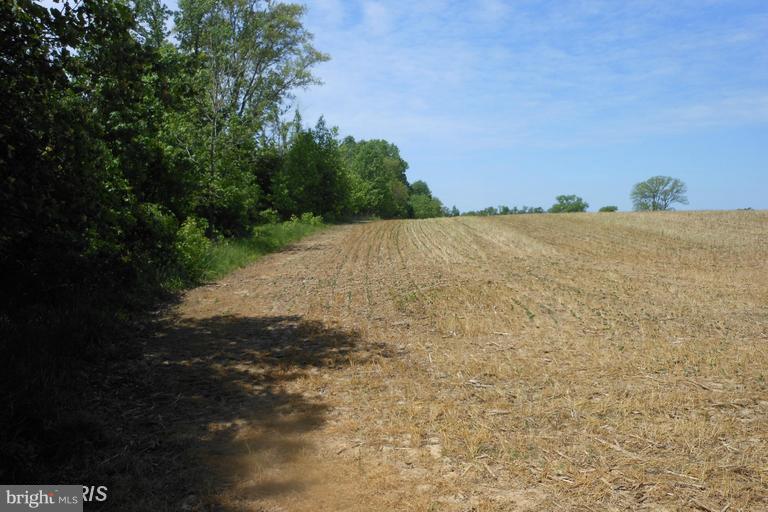 NONE AVAILABLE - Land