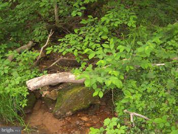 CAPON RIVER VISTA - Land