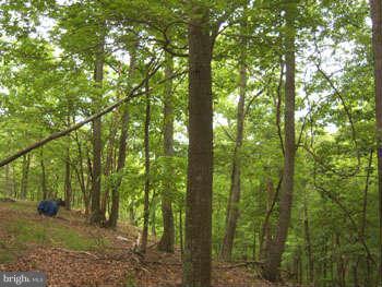 CAPON RIVER VISTA - Land