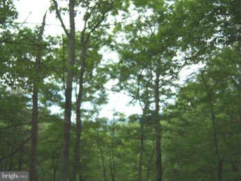 CAPON RIVER VISTA - Land