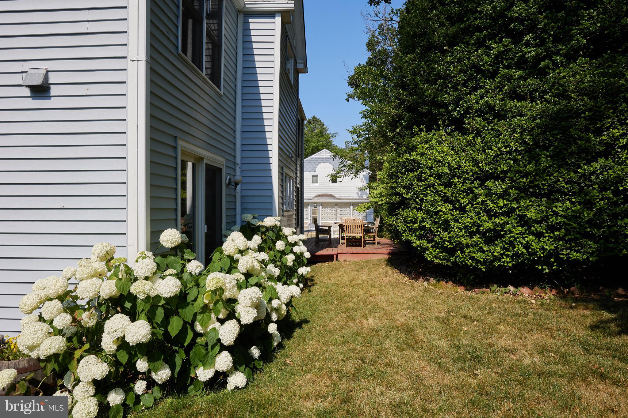 NORTH CHEVY CHASE - Residential