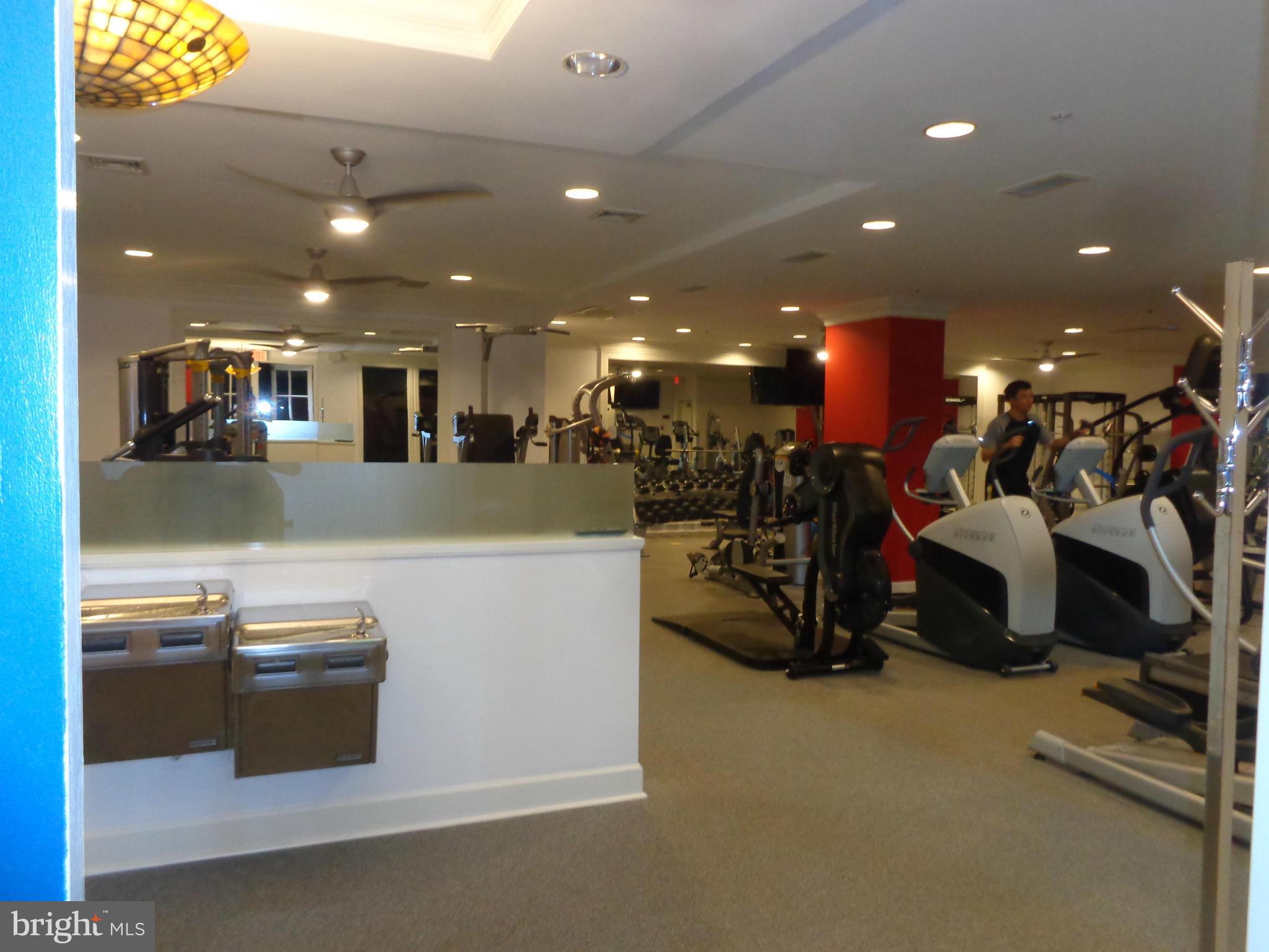 HALSTEAD AT THE METRO - Residential Lease