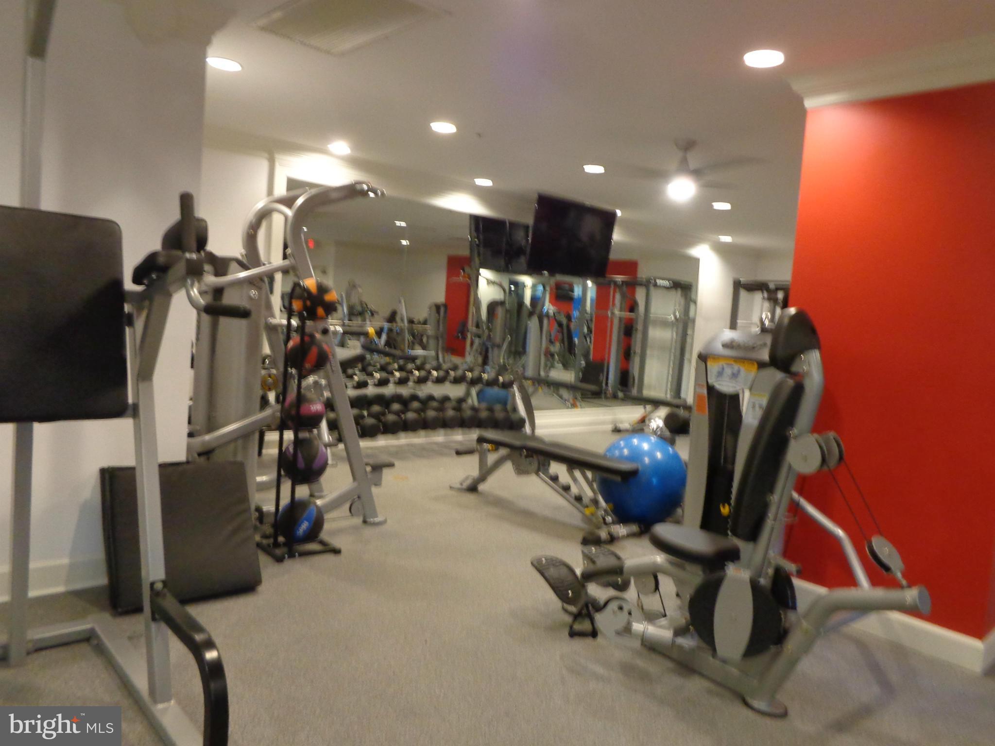 HALSTEAD AT THE METRO - Residential Lease