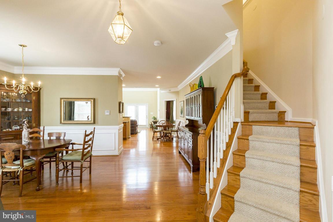 POTOMAC GREEN - Residential