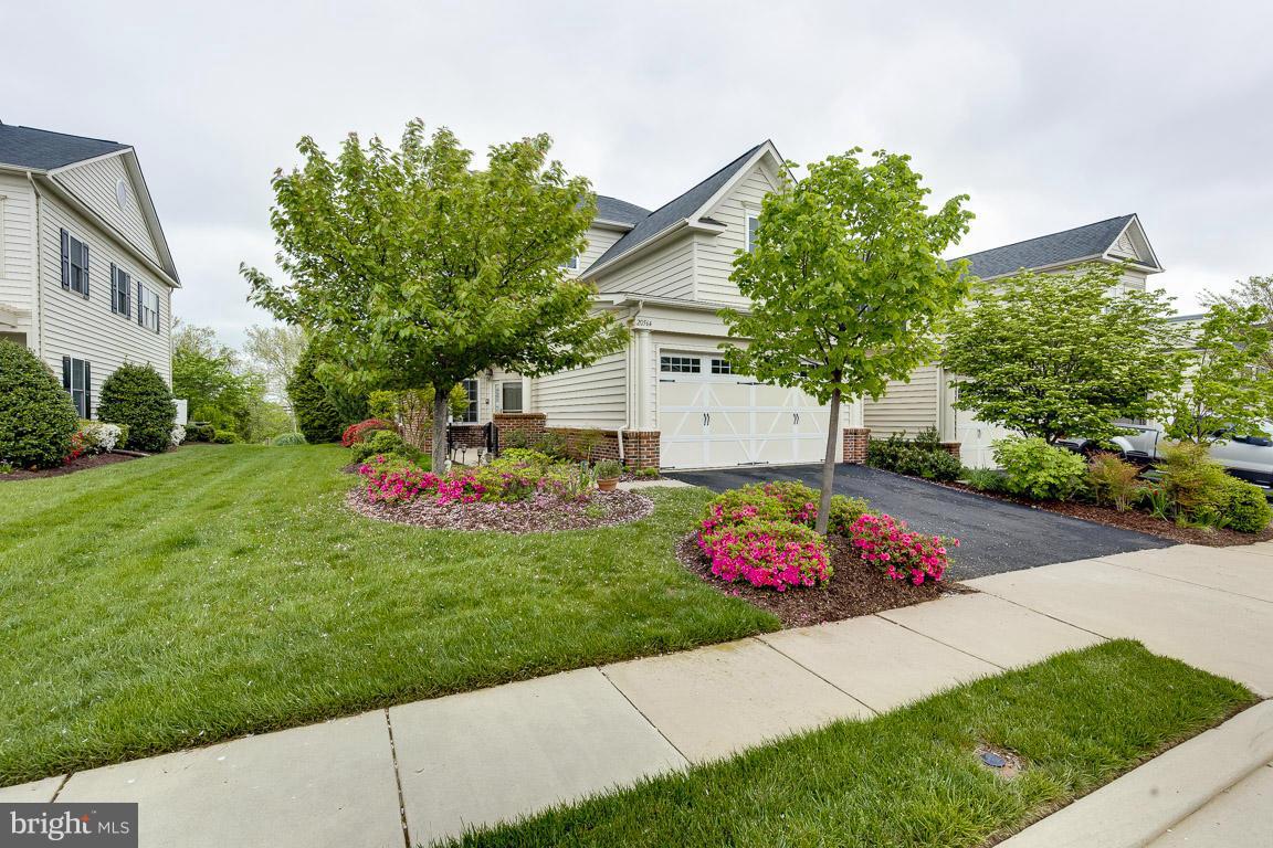 POTOMAC GREEN - Residential