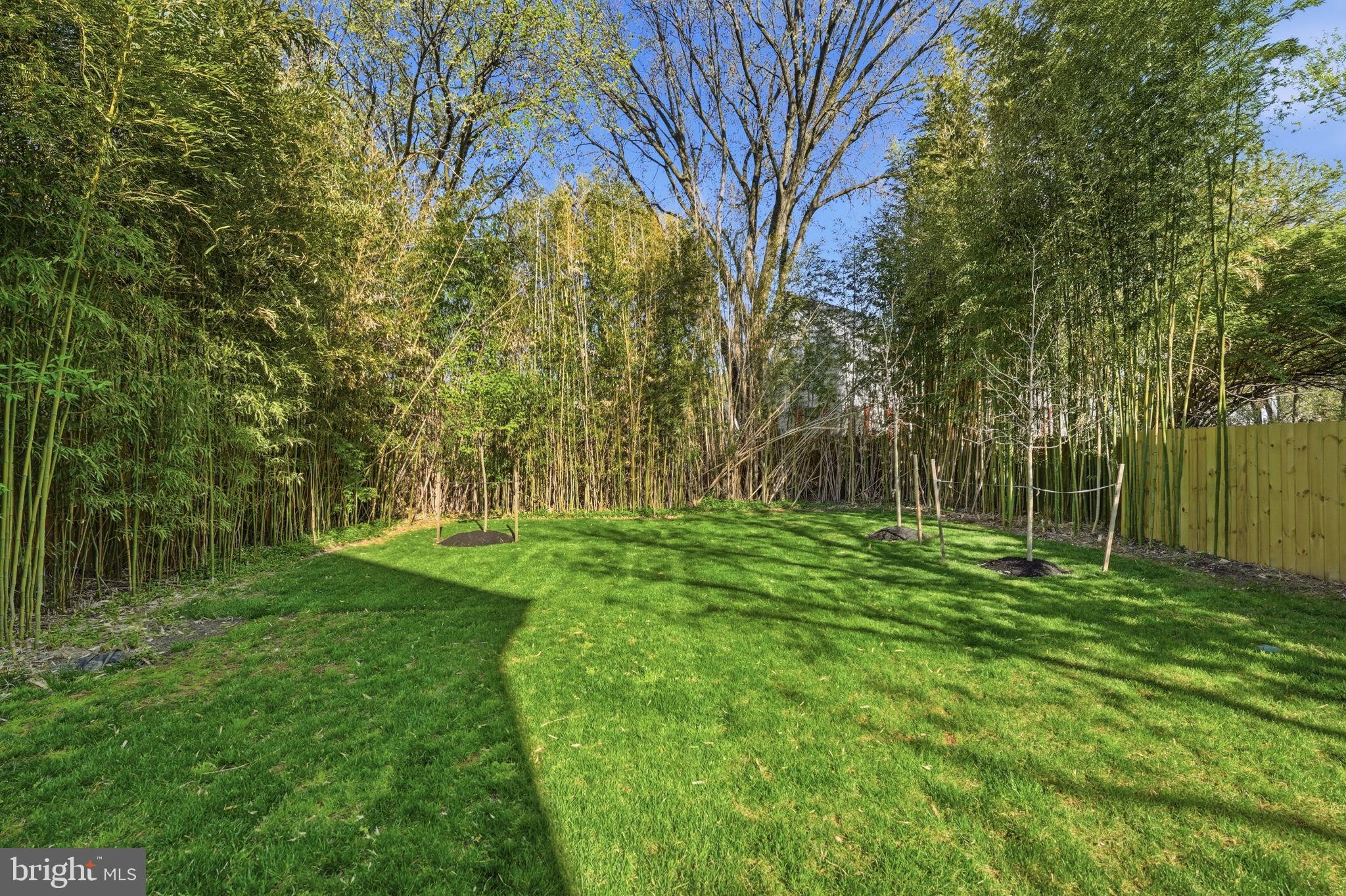 CLARENDON - Residential